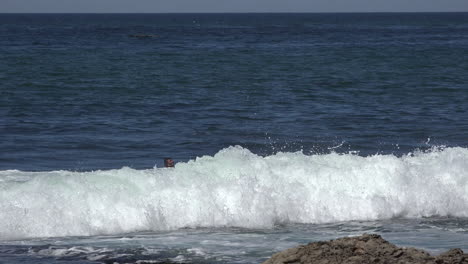 California-Santa-Cruz-A-Surfer-Rides-The-Waves