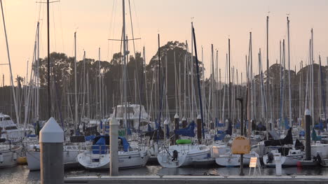 California-Santa-Cruz-Sailboats-Docked