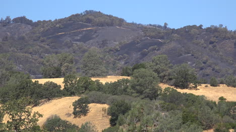 Kalifornien-Verbranntes-Gebiet-Auf-Hügeln