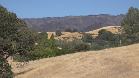 Kalifornien-Hügelige-Landschaft-Aus-Gras-Und-Bäumen-Mit-Verbrannter-Fläche-Dahinter