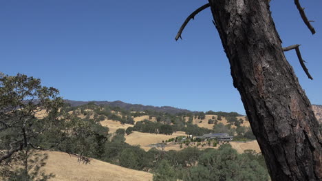 Kalifornisches-Haus-In-Eichensavanne-Mit-Baumstammpfanne