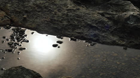 Movement-With-Sun-On-Rocky-Puddle