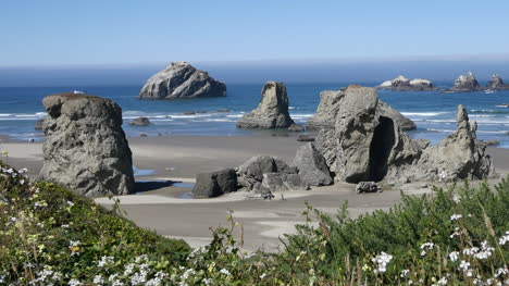 Oregon-Bandon-Flowers-Frame-Beach-View-Zoom-Out