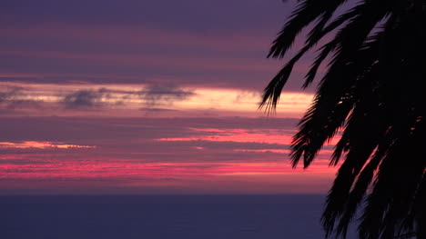 Chile-Sonnenuntergang-Und-Palmenzeitraffer