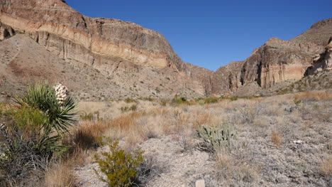 Texas-Big-Bend-Burro-Mesa-And-Blooming-Yucca-On-The-Side