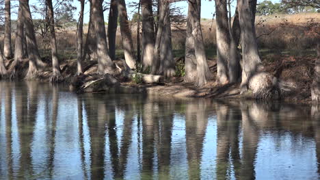 Texas-Medina-River-Cypress-Trees-Reflected-In-Water-Zoom-Out