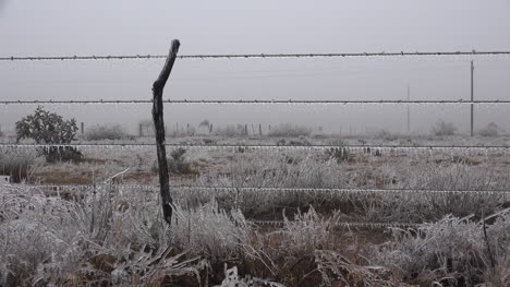 Texas-Landscape-With-Ice-On-Fence