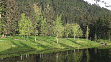 Alaska-Alyeska-Teich-Und-Bäume-Vergrößern