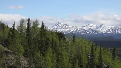Alaska-Denali-Park-Frühling-Blick-Auf-Die-Berge