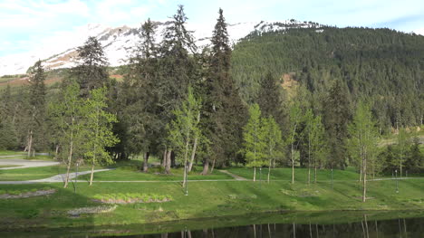 Alaska-Mountain-And-Trees-With-Lawn