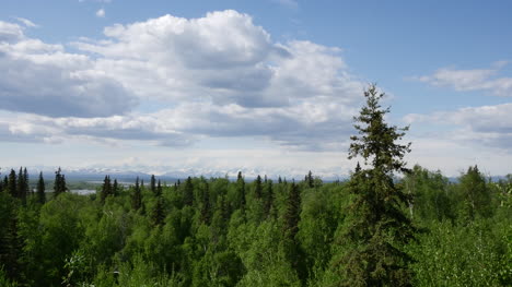 Alaska-Northern-Forest-And-Puffy-Clouds