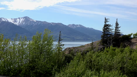 Afloramiento-De-Roca-De-Alaska-Sobre-El-Brazo-De-Turnagain