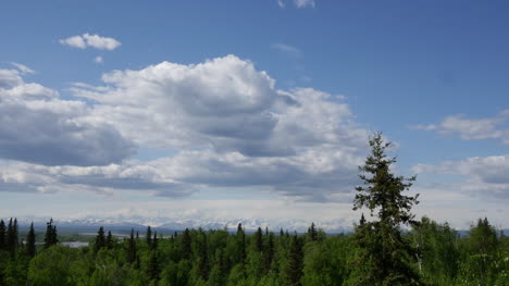 Alaska-Zoom-On-Cloud-And-Forest