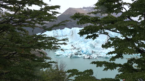 Argentina-Perito-Moreno-Glacier-Framed-With-Beech-Leaves