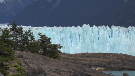 Argentina-Small-Trees-And-Perito-Moreno-Glacier