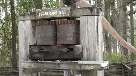 Georgia-Okefenokee-Looking-At-Sugar-Mill