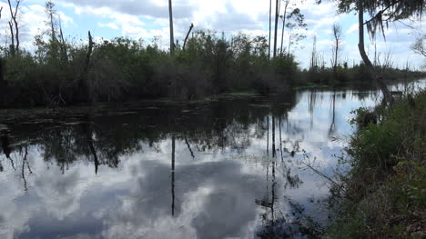 Georgia-Okefenokee-Reflections-In-Clouds