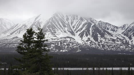Alaska-Montaña-Nevada-Y-Abetos