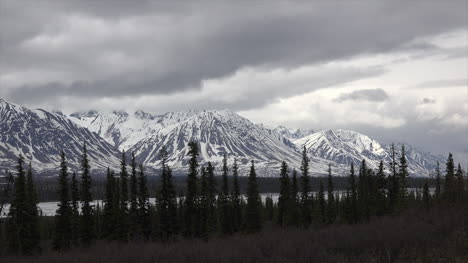 Alaska-Montañas-Nevadas-Nubes-Oscuras-Y-Abetos
