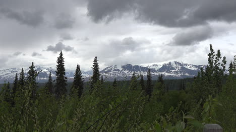 Alaska-Bäume-Und-Dunkle-Wolken-Zoomen-Rein