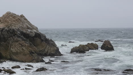 California-17-Mile-Drive-China-Rock-Cormorants-And-Pelican
