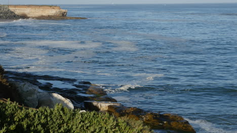 Kalifornien-Santa-Cruz-Monterey-Bay-West-Cliff-Blowhole