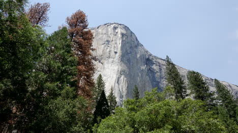 Kalifornien-Yosemite-Blick-Auf-El-Capitan