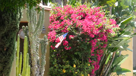 California-Los-Angeles-Pink-Flower-Bush-With-An-American-Flag