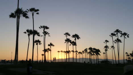 Los-Angeles-Venice-Beach-Park-Just-After-Sunset-W-Palms-Wide-Shot