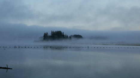 Washington-Silver-Lake-With-Mist-And-Bird-Pan