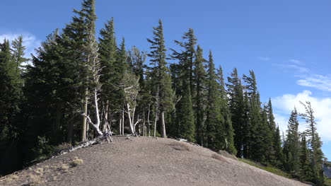 Oregon-Crater-Lake-Hill-With-Trees-Zoom