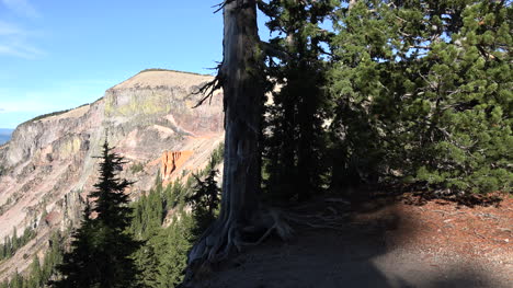 Oregon-Crater-Lake-Tilt-Up-Tree