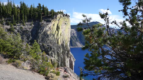 Oregon-Crater-Lake-Tree-With-Green-Cliff
