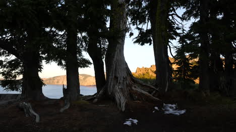 Oregon-Crater-Lake-View-With-Tree-Trunks
