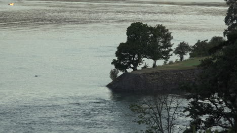 Oregon-Trees-And-Columbia-River