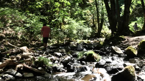 Oregon-Water-Amid-Rocks-In-Small-Stream