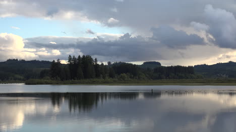 Washington-Silver-Lake-Trees-And-Reflections