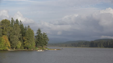Lago-Silver-De-Washington-Con-Gaviota