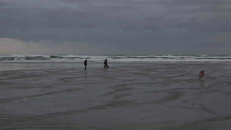 Oregon-Hunde-Und-Menschen-Am-Strand