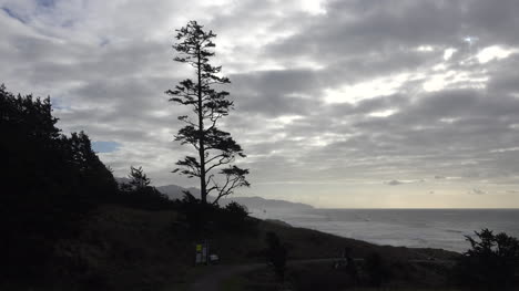 Oregon-View-With-Tree-From-Ecola-State-Park