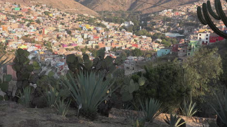 Mexico-Guanajuato-Suburb-Beyond-Cactus-Plants
