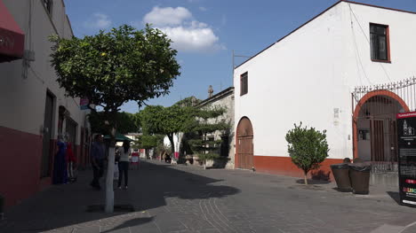 Mexico-Tlaquepaque-Street-With-Trees-And-People