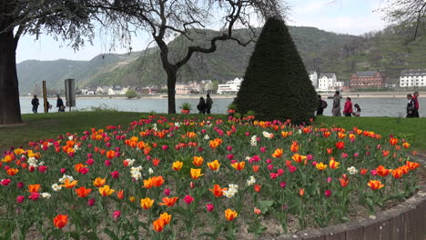 Germany-Tulips-And-Rhine-View-With-People-Walking