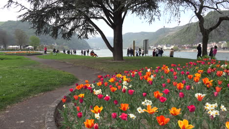 Germany-Tulips-With-People-Walking-By-Rhine