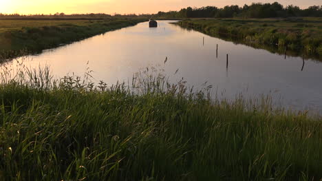 Netherlands-Weeds-And-Water-At-Sunset-Tilt-Up