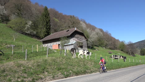 Switzerland-Bicycle-Cars-And-Cows