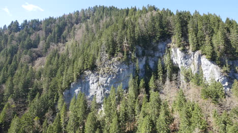 Schweiz-Felsen-Und-Wald