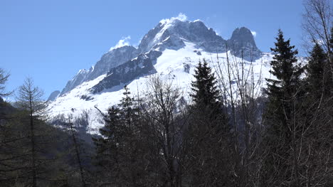 Frankreich-Mont-Blanc-Blick-Mit-Baum-Und-Blauem-Himmel