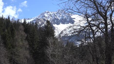 Frankreich-Mont-Blanc-Blick-Mit-Ästen
