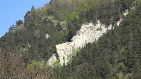 Francia-Roca-Expuesta-Rodeada-De-Bosque